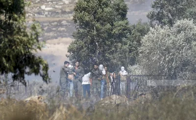 مستوطنون يلاحقون قاطفي الزيتون الفلسطينيين ومتضامنين أجانب في أراضي واد ياسوف شرق سلفيت