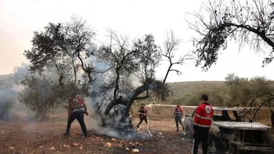 تصاعد اعتداءات المستوطنين على الفلسطينيين وممتلكاتهم في الضفة والقدس