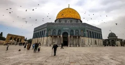 "حماس": اقتحامات المجرم "بن غفير" للأقصى والعدوان المتصاعد بالقدس تتطلب حراكاً حازما