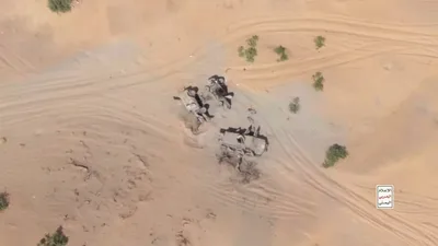مصدر يمني: إذا قررت السعودية الحرب الشاملة فإن خيارات القوات اليمنية مفتوحة ومتعددة