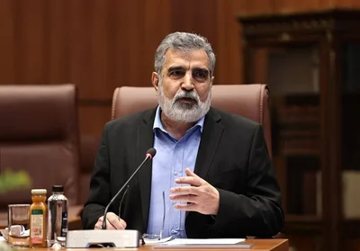 كمالوندي: يجب على الوكالة الدولية للطاقة الذرية مقاومة الضغوط الأمريكية