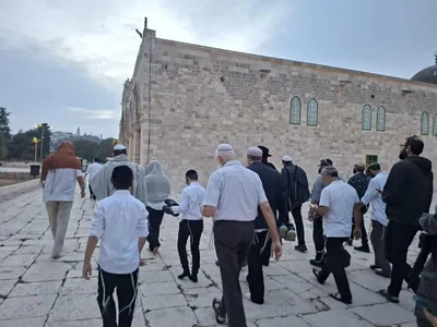 أكثر من 1291 مستوطنًا يقتحمون المسجد الأقصى خلال أسبوع