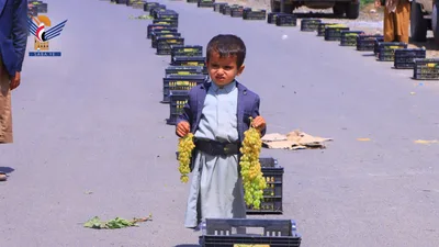 بني حشيش تسير قافلة من العنب دعمًا المرابطين في الجبهات 