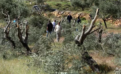 العدو الإسرائيلي يقتحم عدة بلدات في الضفة ويشدد إجراءاته العسكرية بالتزامن مع اعتداءات للمستوطنين