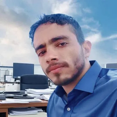 براغماتية الإصلاح