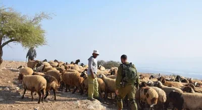 مستوطنون صهاينة يصعّدون اعتداءاتهم على الفلسطينيين في الضفة الغربية