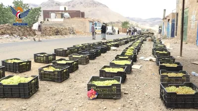 تسيير قافلة عنب من مديرية الطيال للمرابطين في الجبهات 