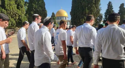 91 مستوطنا صهيونيا يقتحمون المسجد الأقصى