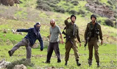 إصابة ثلاثة فلسطينيين بالاختناق جراء اعتداء للمستوطنين بجنين